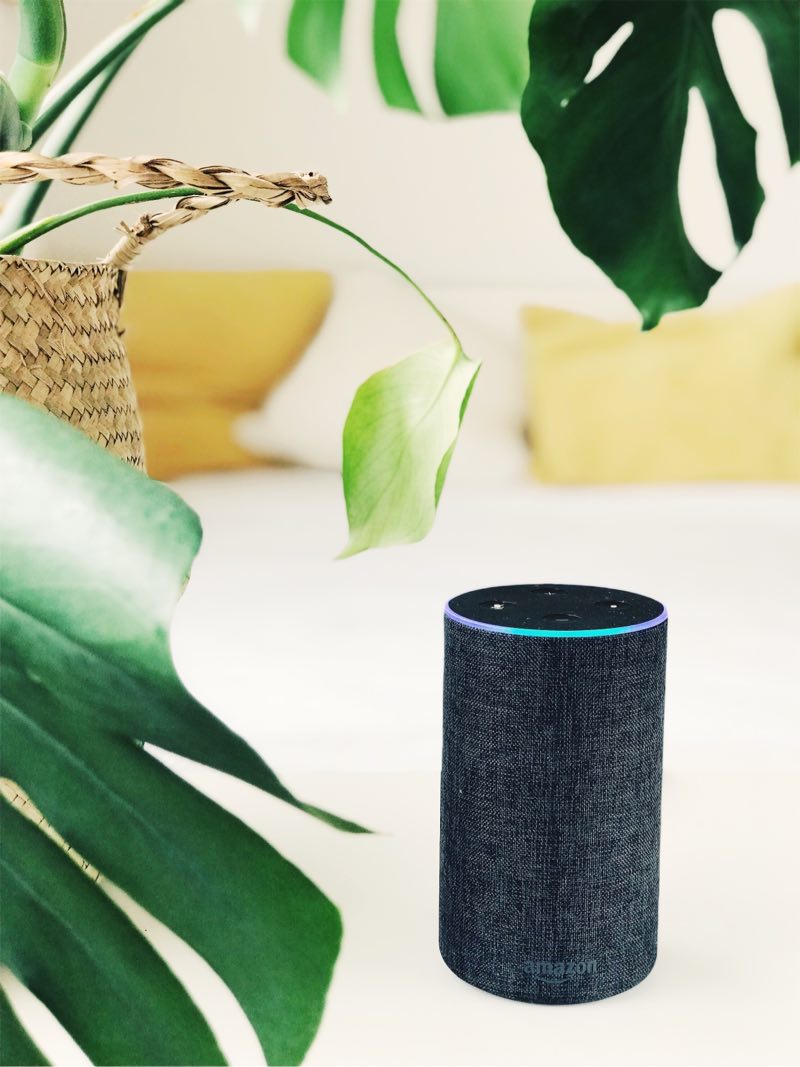 news-alexa-crash-plant