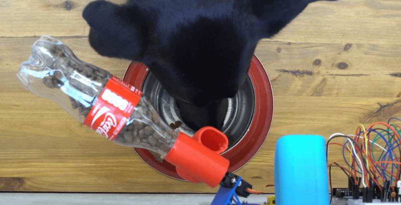 Arduino Iot Projects Automatic Pet Feeder