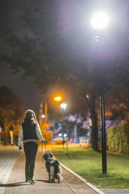 Smart Streetlight Path