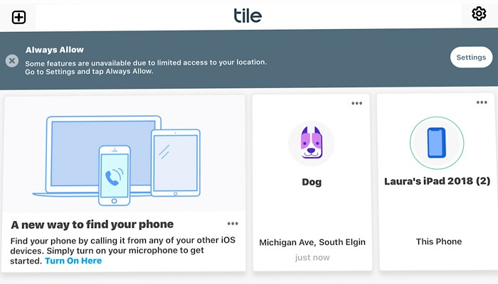 Review Tile Dog