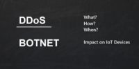 What Is a DDoS Botnet?