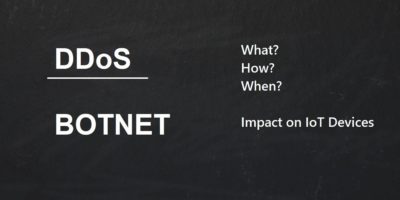 What Is a DDoS Botnet?