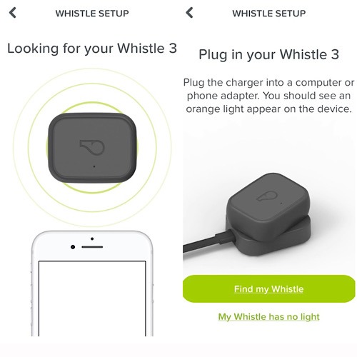 Review Whistle Go Pair