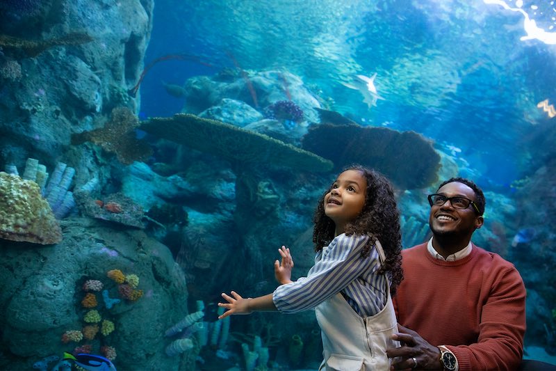 Echo Frames Smart Glasses Aquarium