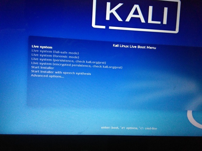 Kali Linux Launch Live System Forensic Mode