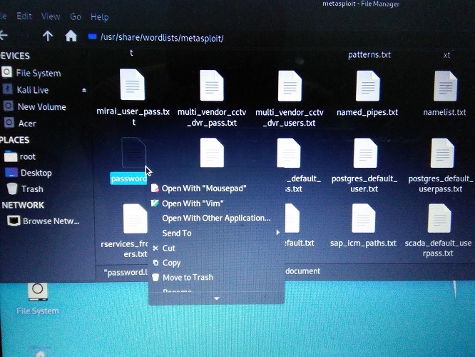 Password File Open Metasploit Kali Linux Wordlists