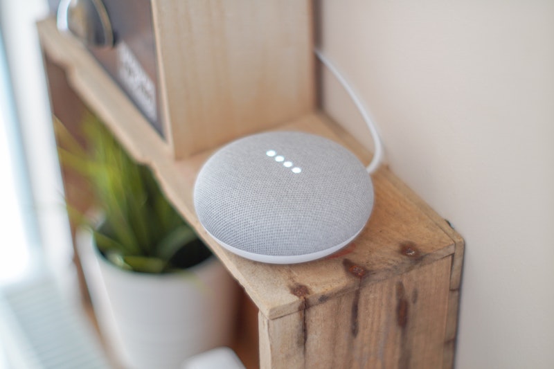 Funny Things Google Home Mini Speaker