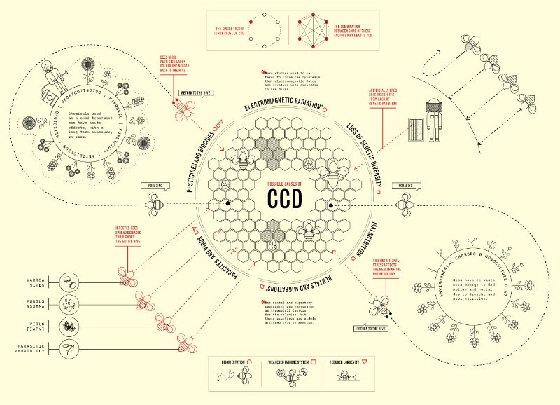 Internet Of Bees Colony Collapse Infographic