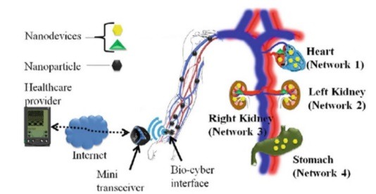 Iobnt Architecture Inside Human Body 1