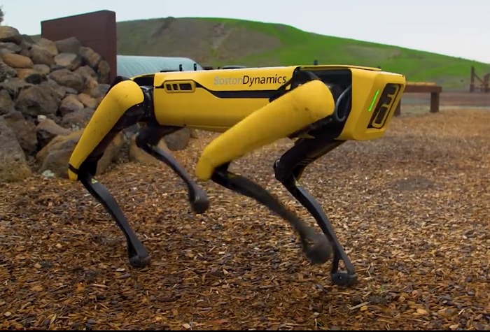 News Robot Dog Sheepherding Body Shot