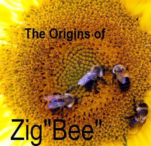 Zigbee Name 1