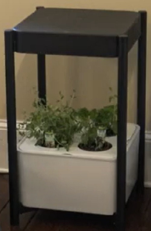 Smart Indoor Gardening Gadgets For Greener Living Miraclegro