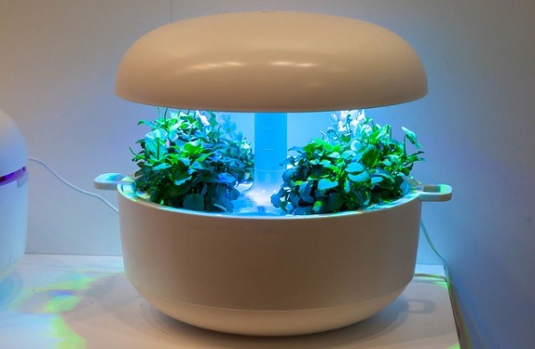 Smart Indoor Gardening Gadgets For Greener Living Plantui