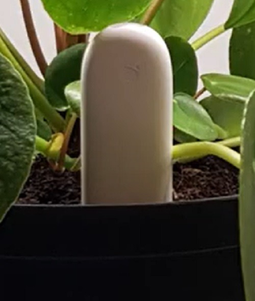 Smart Indoor Gardening Gadgets For Greener Living Xiaomi