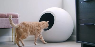 Pluto Circle Zero: A Smart Cat Litter Box