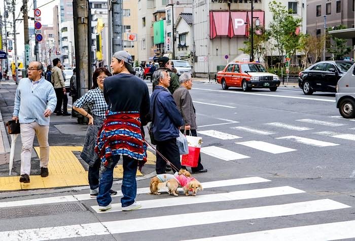 Smart Traffic Lights Pedestrians