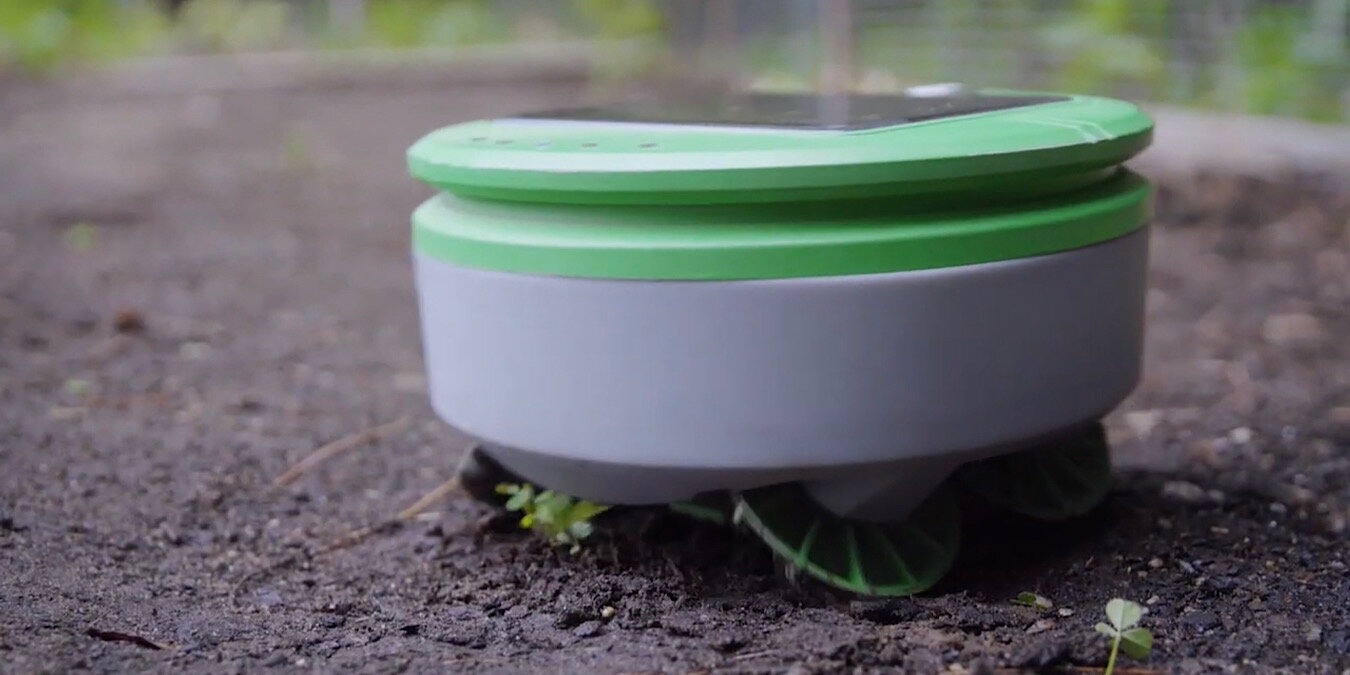 Tertill Gardening Robot Featured
