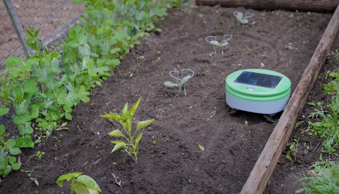 Tertill Gardening Robot Garden