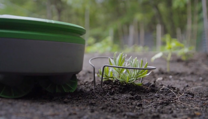 Tertill Gardening Robot Guard