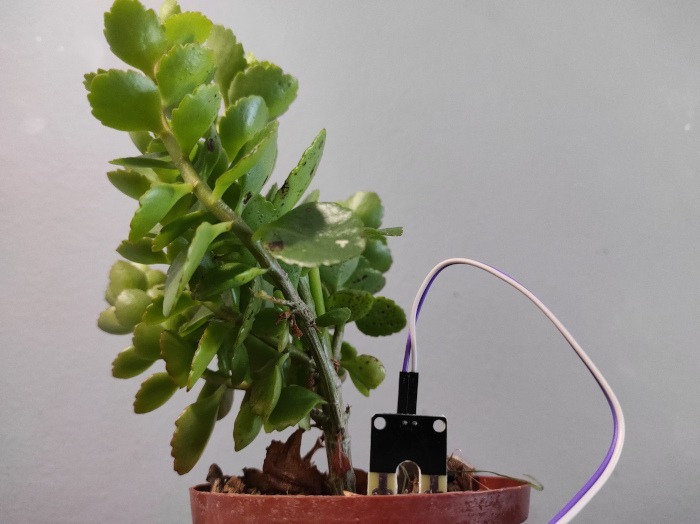 Plants Healthy Arduino 3