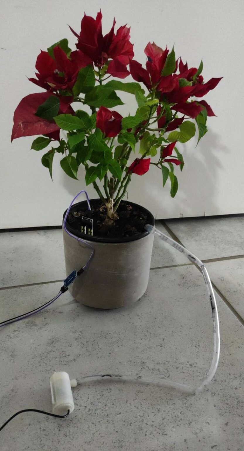 How to Automate Watering of Plants With Arduino - IoT Tech Trends