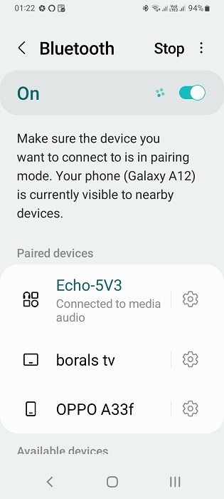Android Phone connected to media device of Echo via Bluetooth.