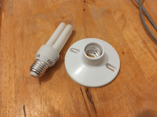 Ordinary Light Bulb And Socket