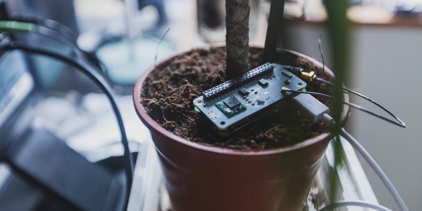 Raspberry Pi On A Pot Feature Image Photograph By Pi Supply